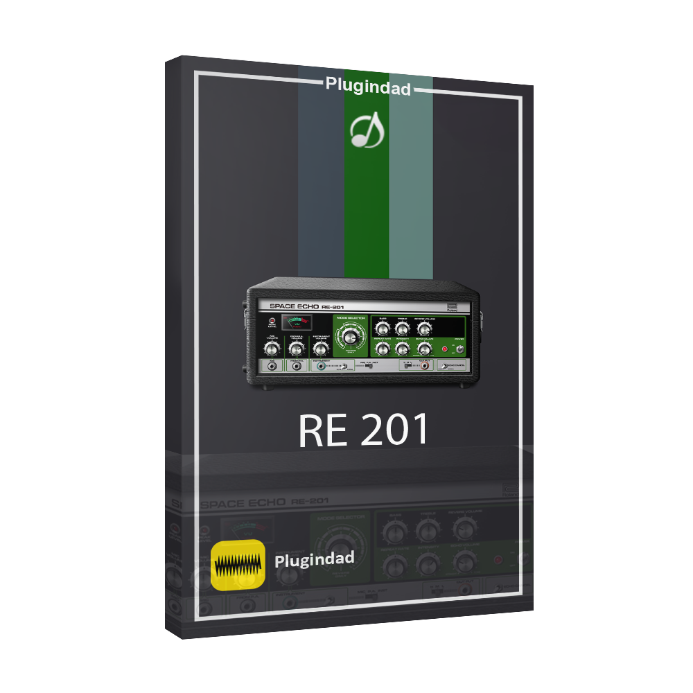 RE 201 Roland Cloud - RE 201 - Image 1