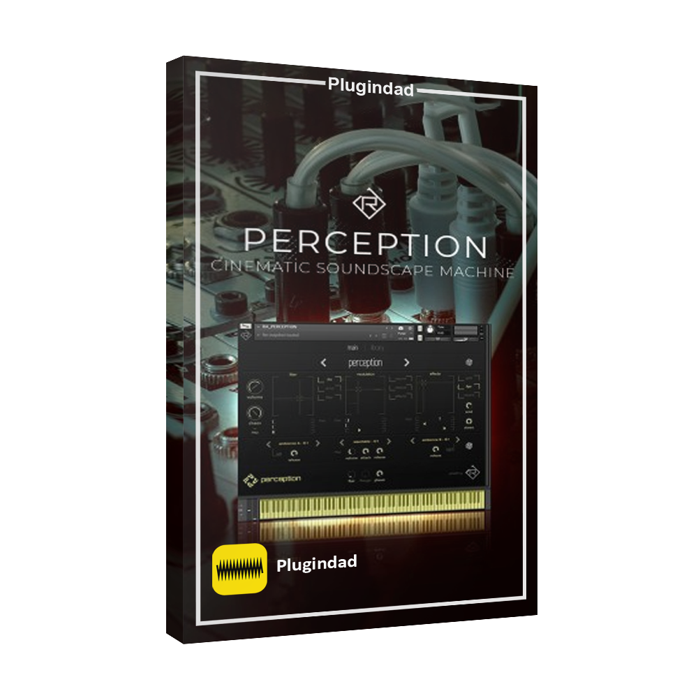 Rigid Audio – Perception Rigid Audio - Perception - Image 1