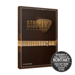 Indiginus – StrumMaker IV Acoustic Guitar